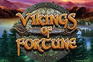 Vikings Of Fortune