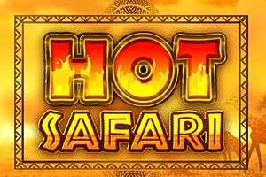 Hot Safari