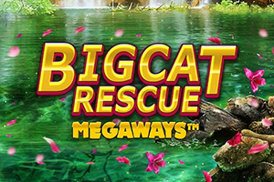 Big-Cat-Rescue-Megaways